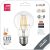 Smart Filament LED Globe A60 4.5W CCT WIFI + BLE APP Control