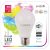 Smart LED Globe A60 9W RGB+W WIFI APP Control