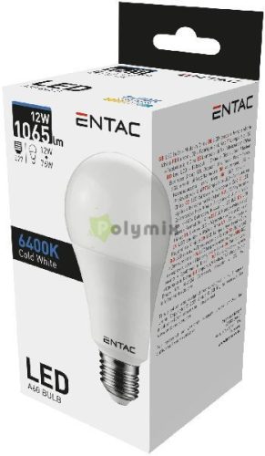 LED Globe E27 12W CW 6400K